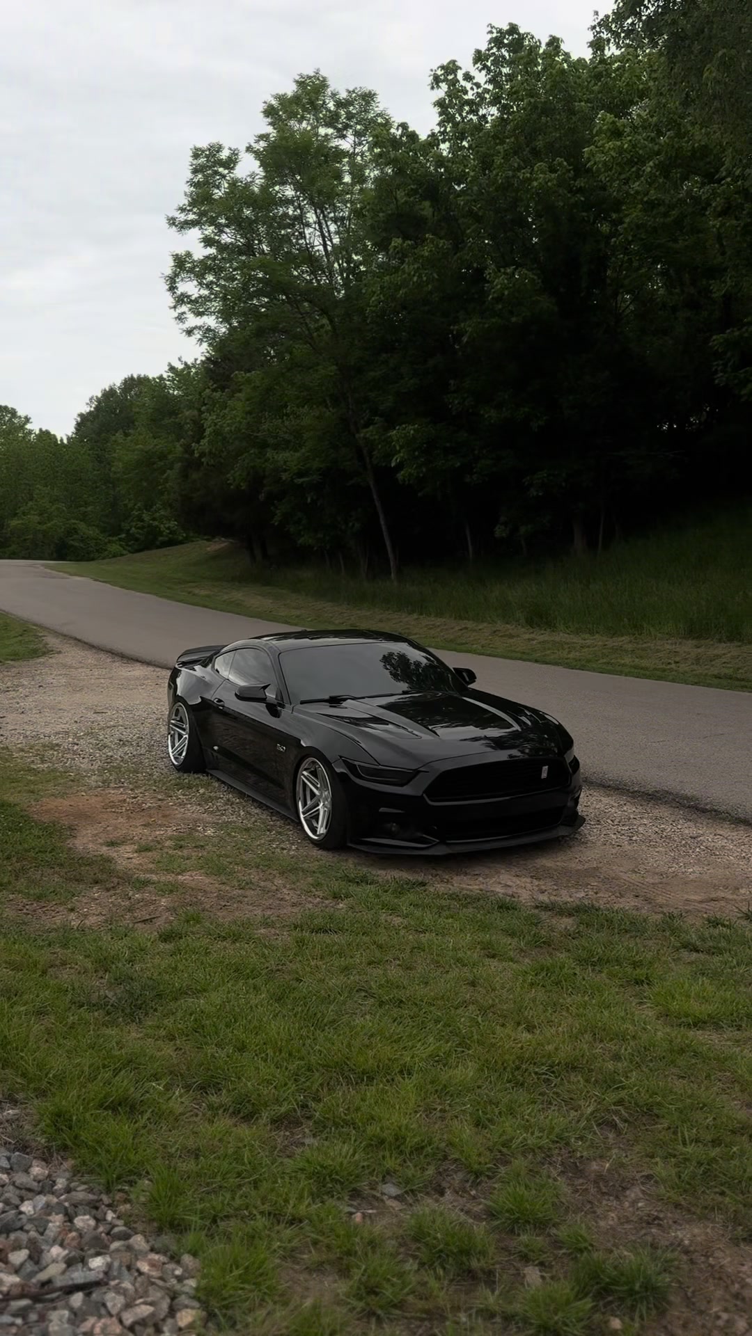 @blackout_coyote