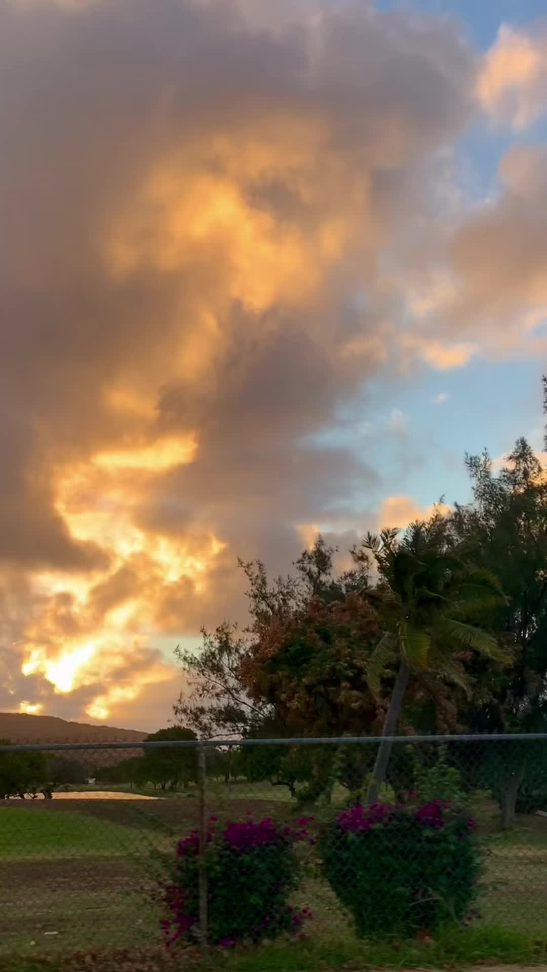 @Aaron🌴808