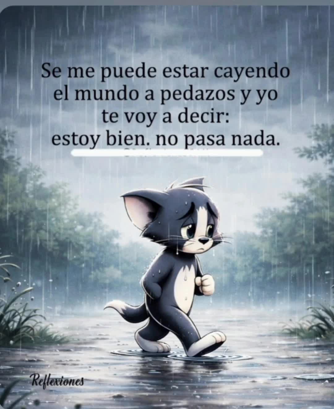 @el panda solitario