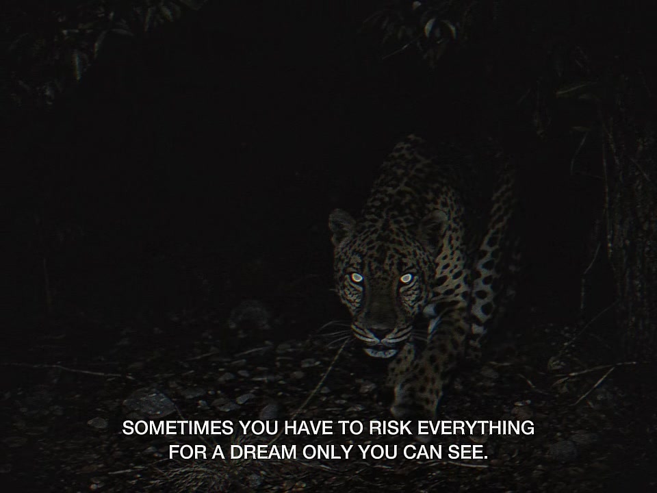 @Gritty Ambition
