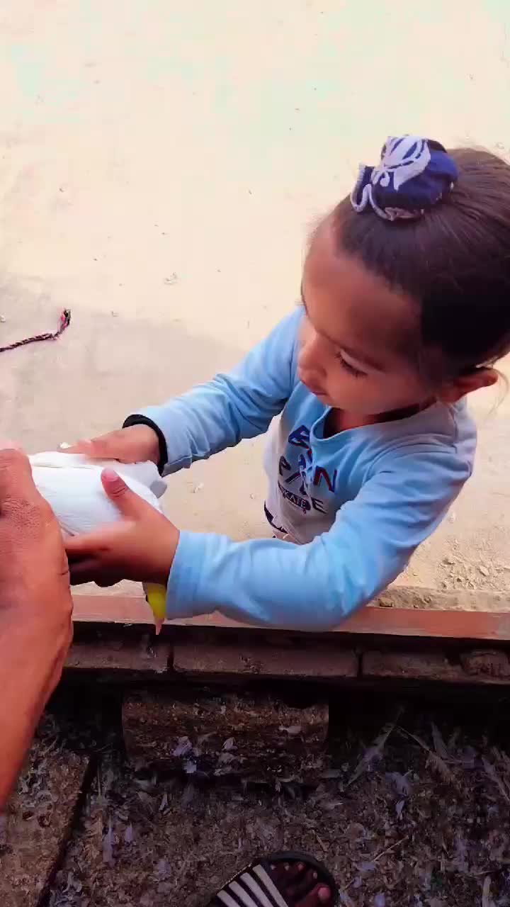 @Satinder Singh Hayer