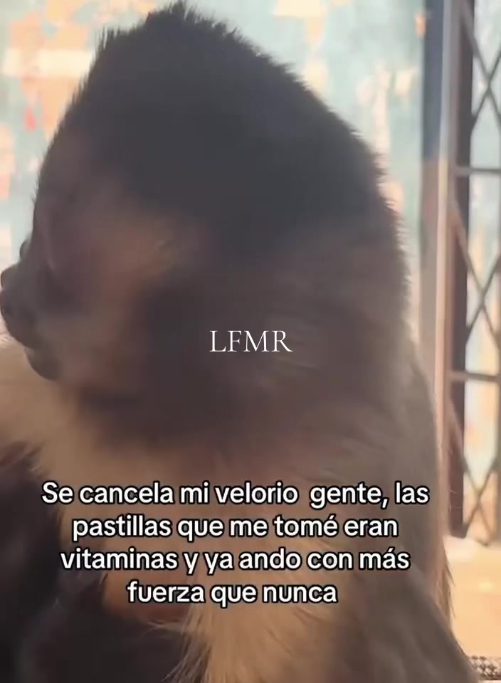 @LUISAFERNANDA✨🌷🐚