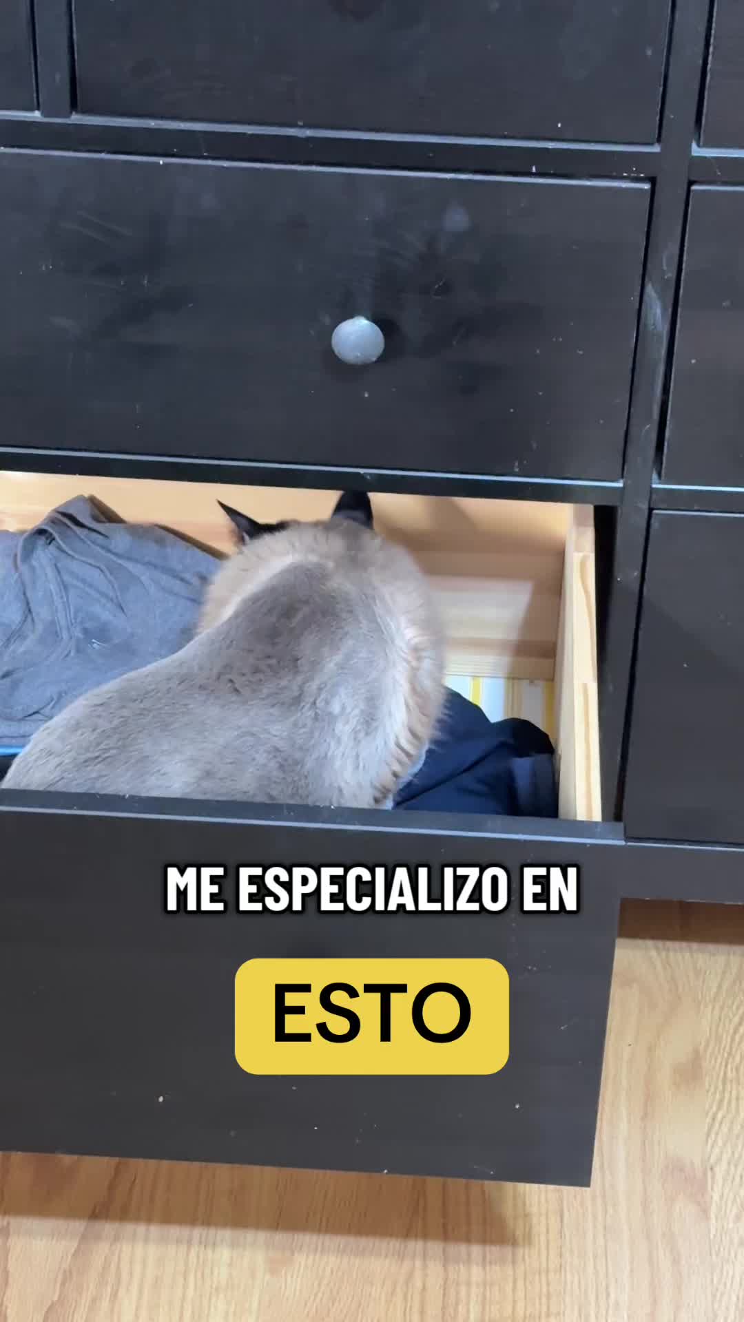 @mili_la_yorki