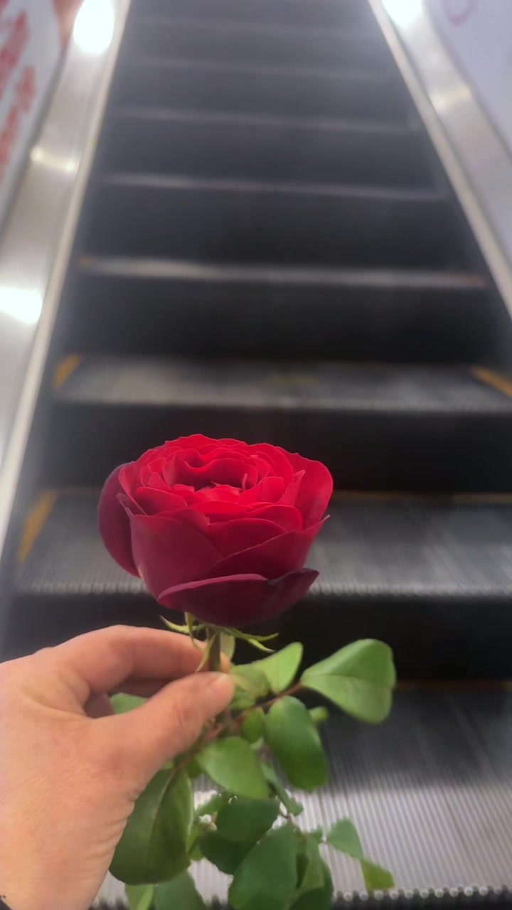 @kırgınım sana