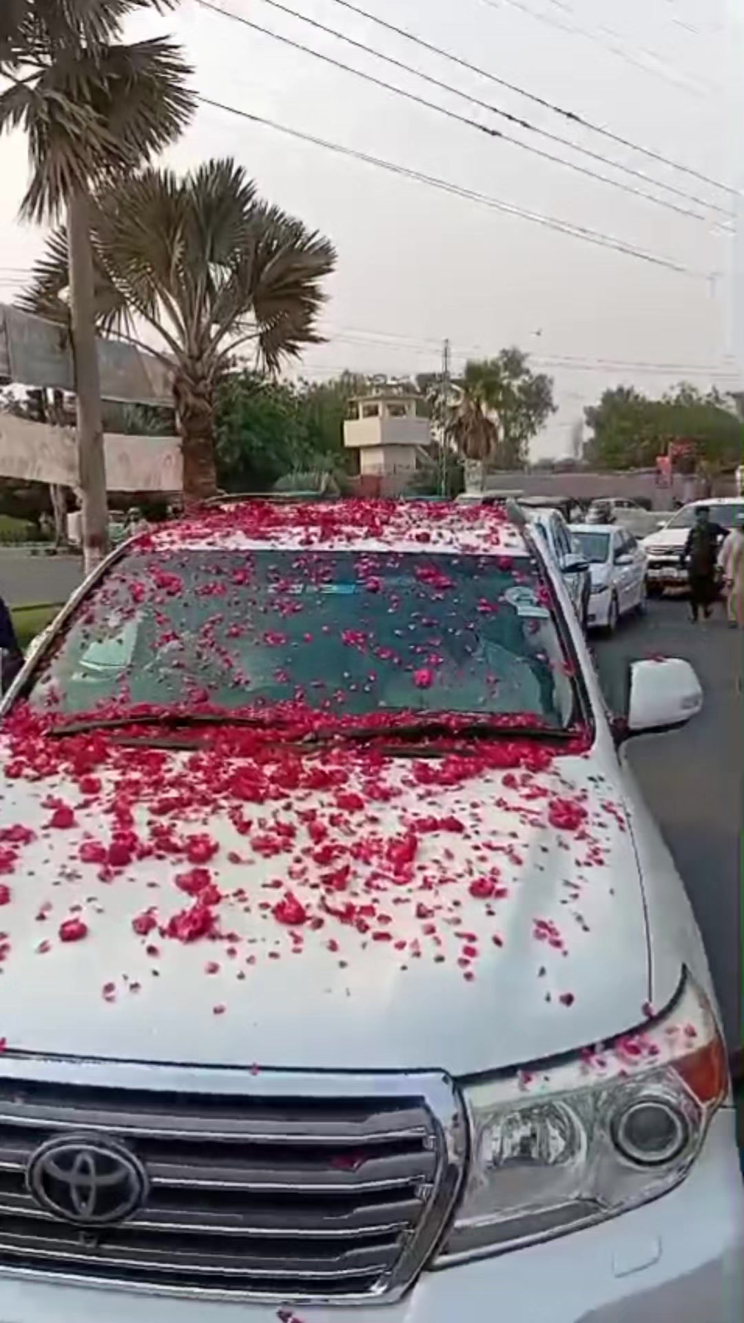 @Zia 121