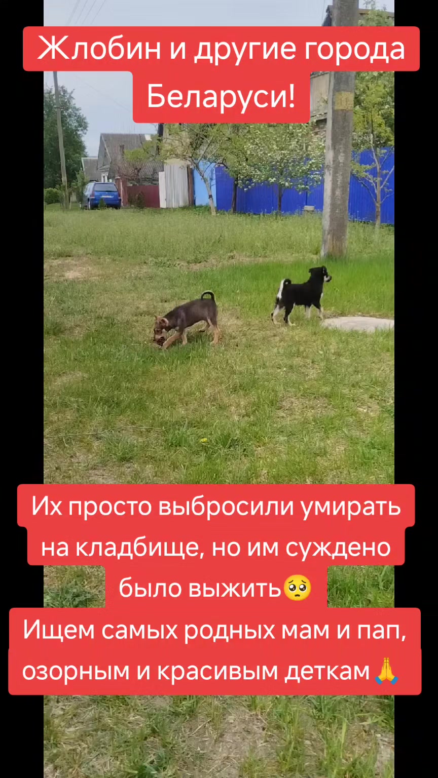 @Светлана Козлова