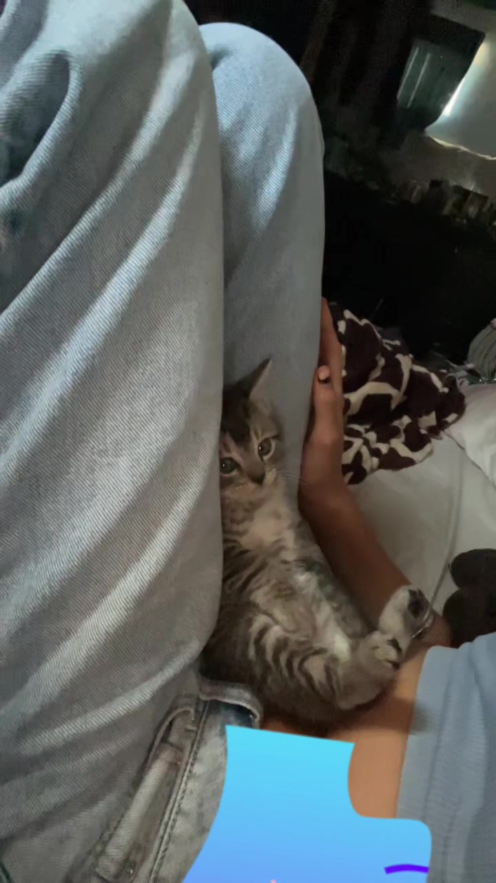@_yyuummyy