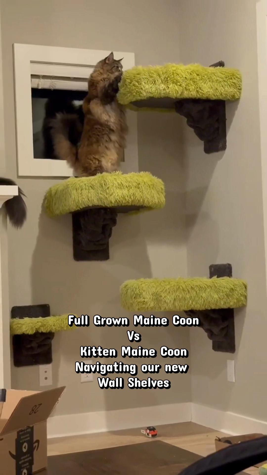 @customcatcribs