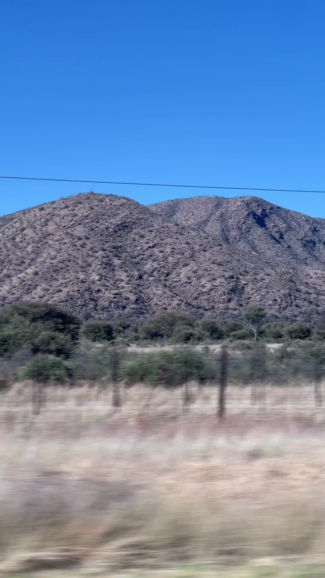 @Libertine