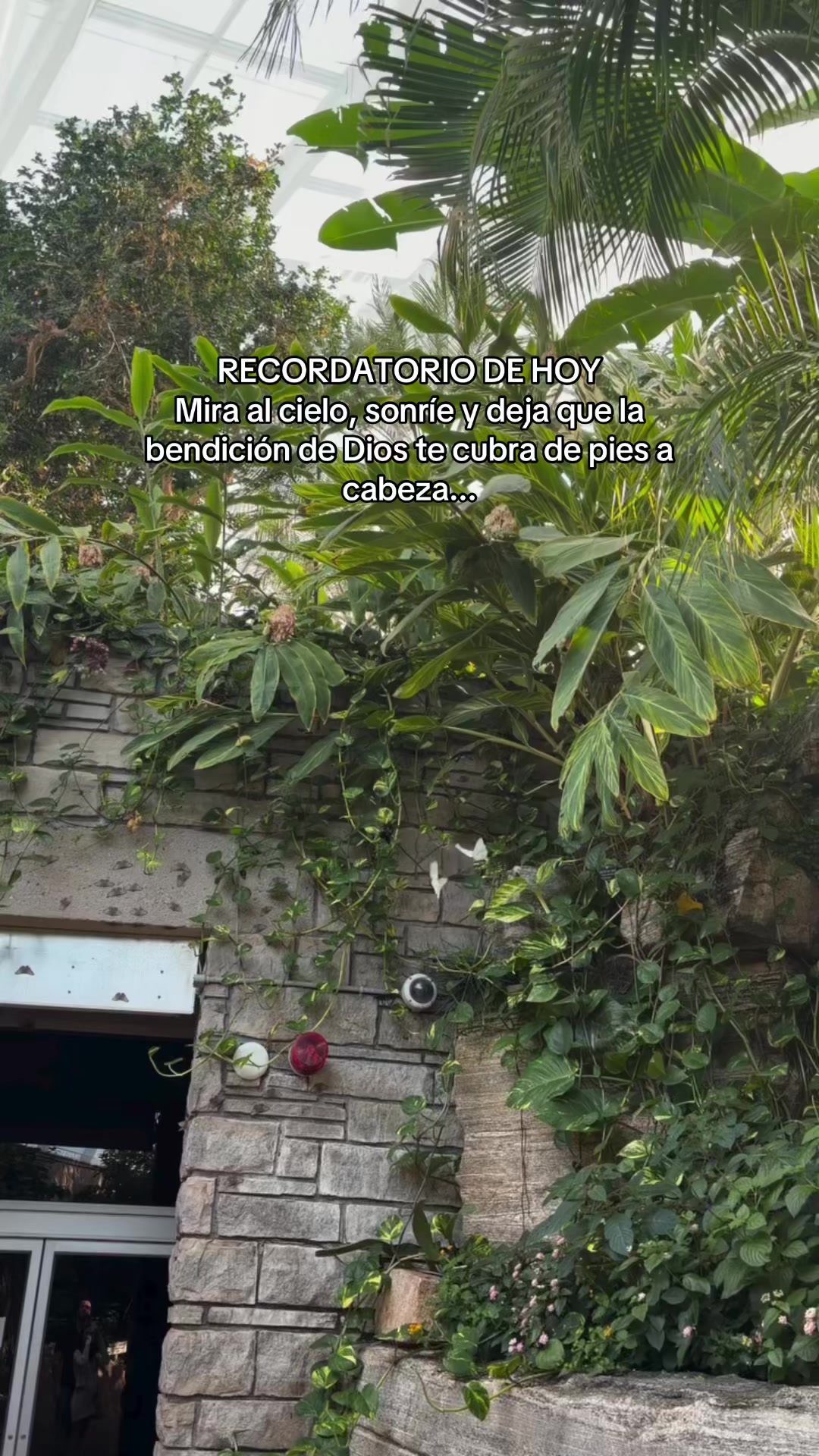@Hija del Dueño