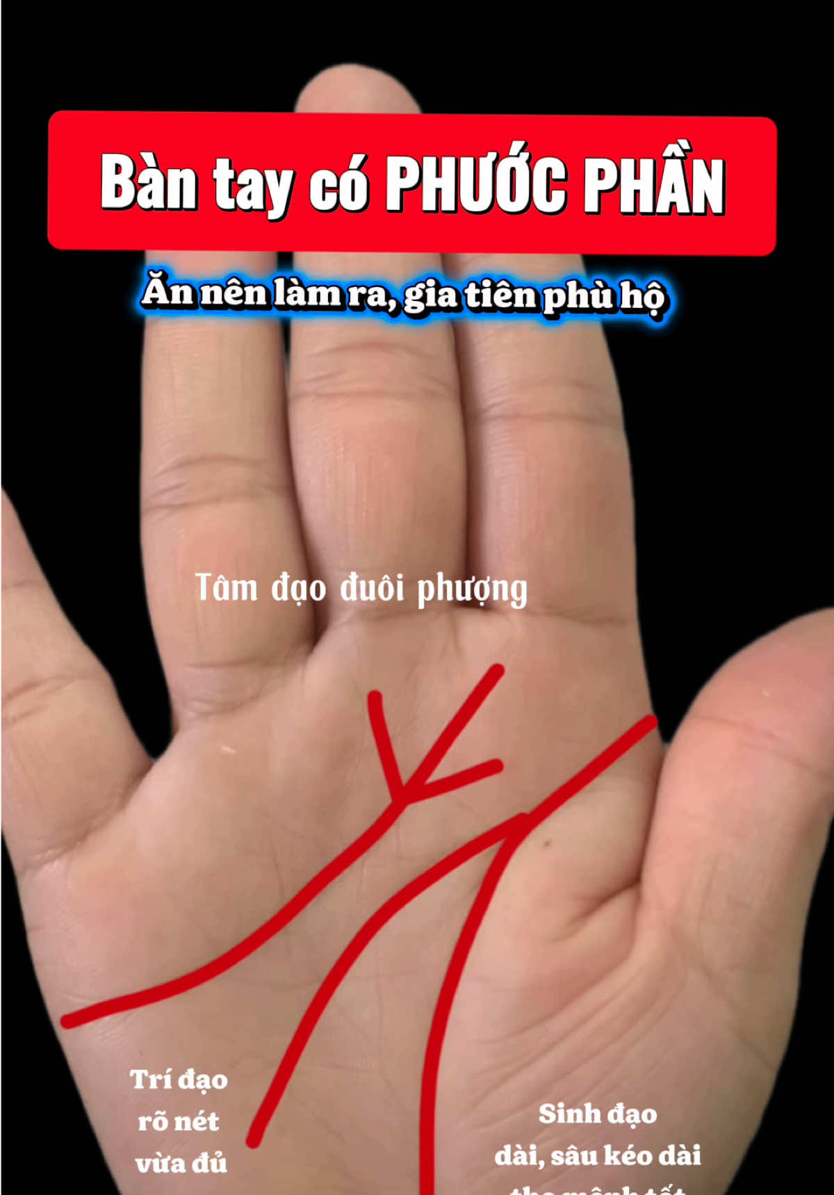 @VẬN MỆNH RADIO