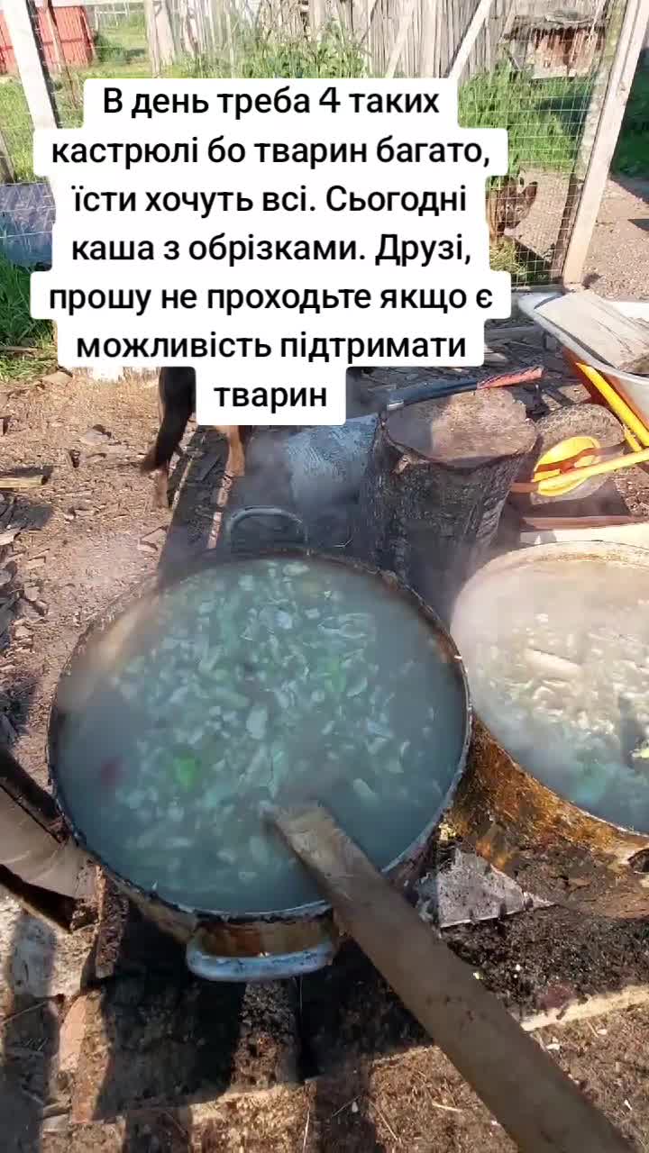 @tvarinkidobra