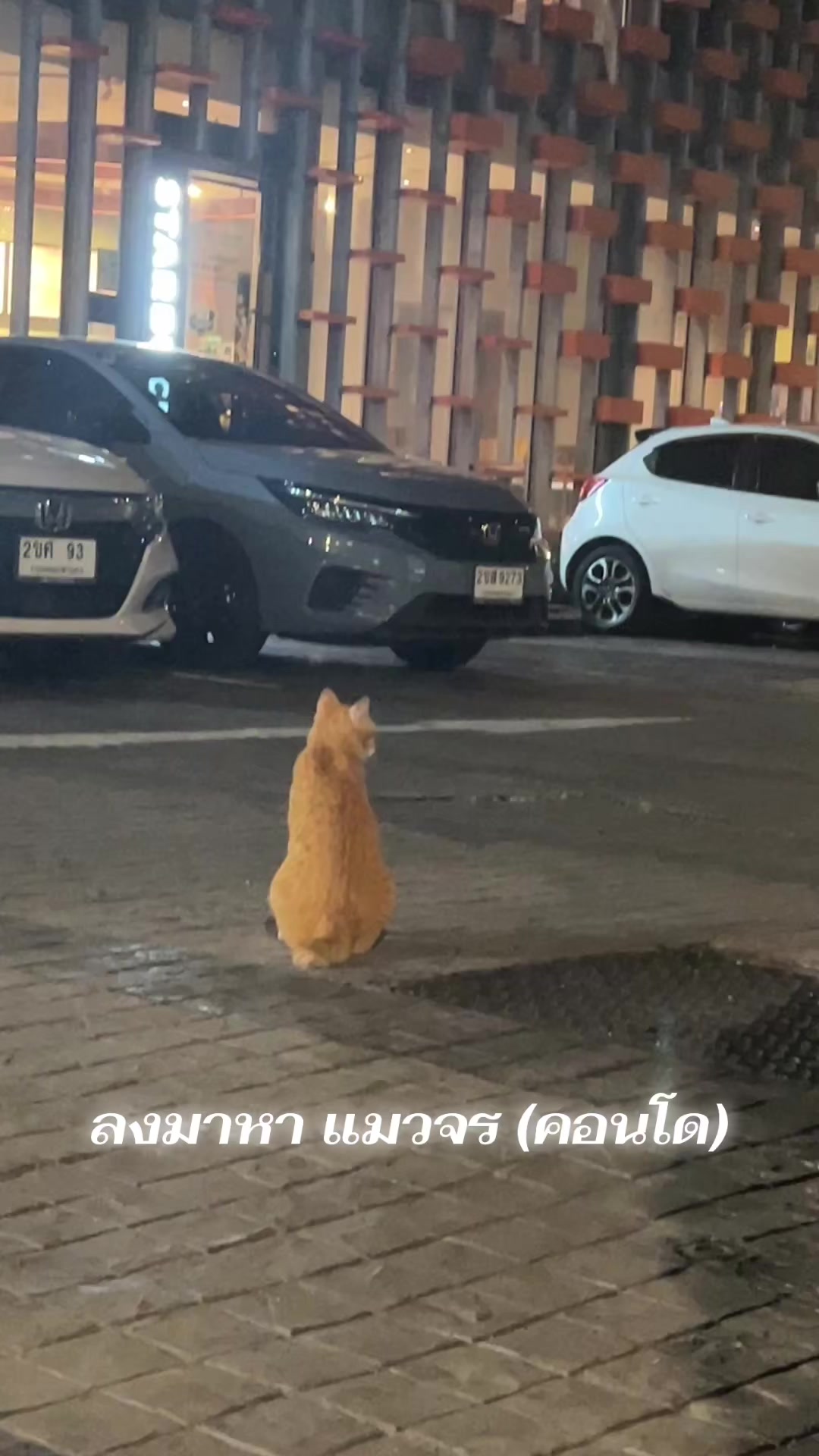 @แอน