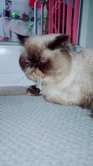 @🇹🇷😻PABLO🇹🇷😻