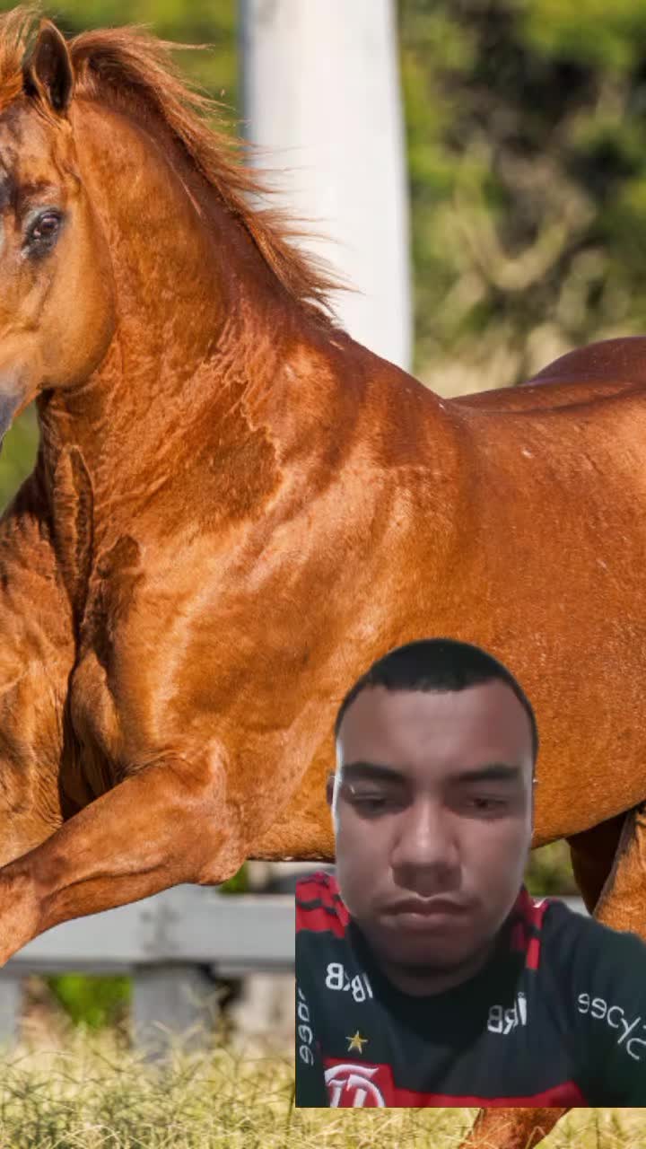 @Kauã Gabriel