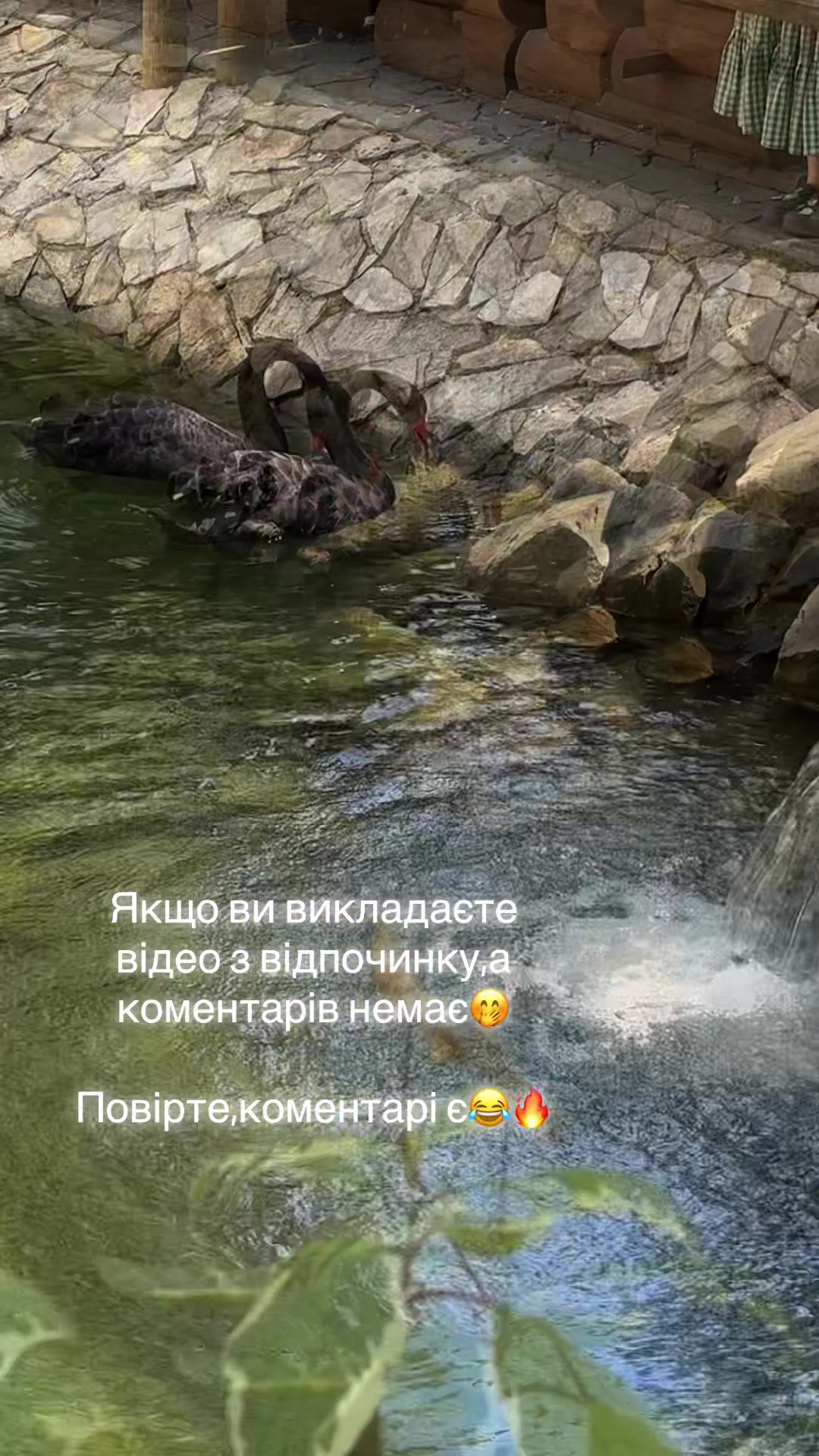 @Zoryanka 🇺🇦