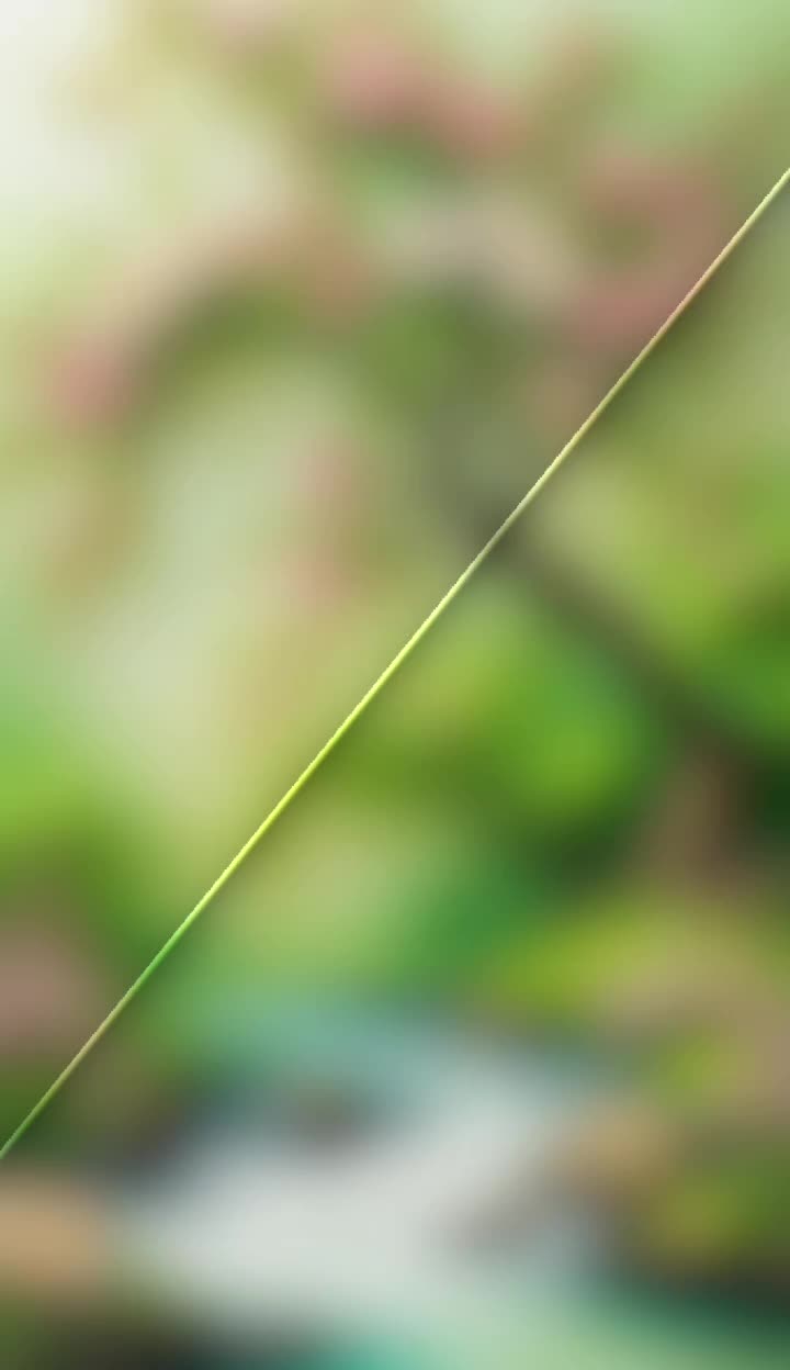 @tiy_891
