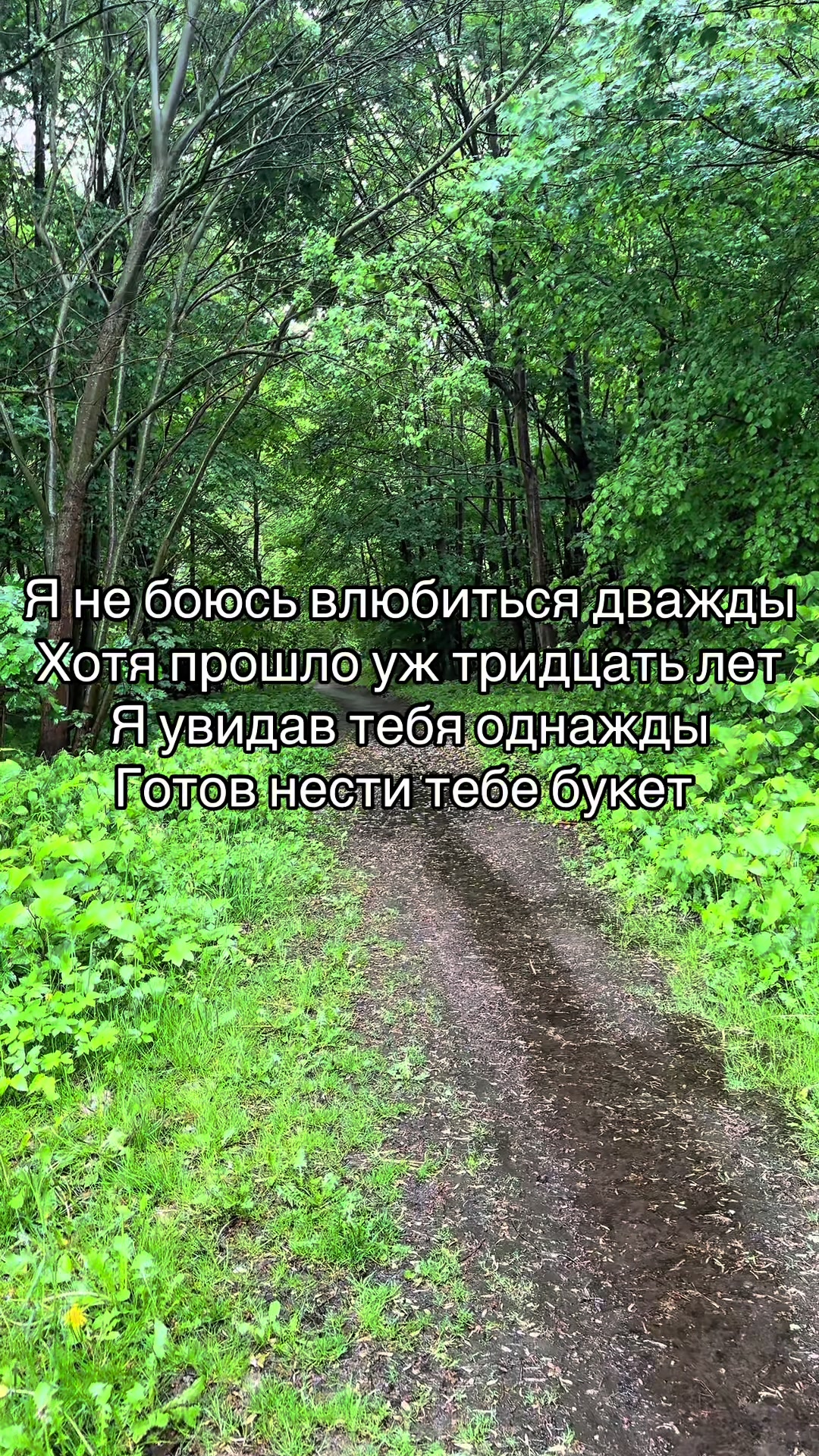 @Алексей