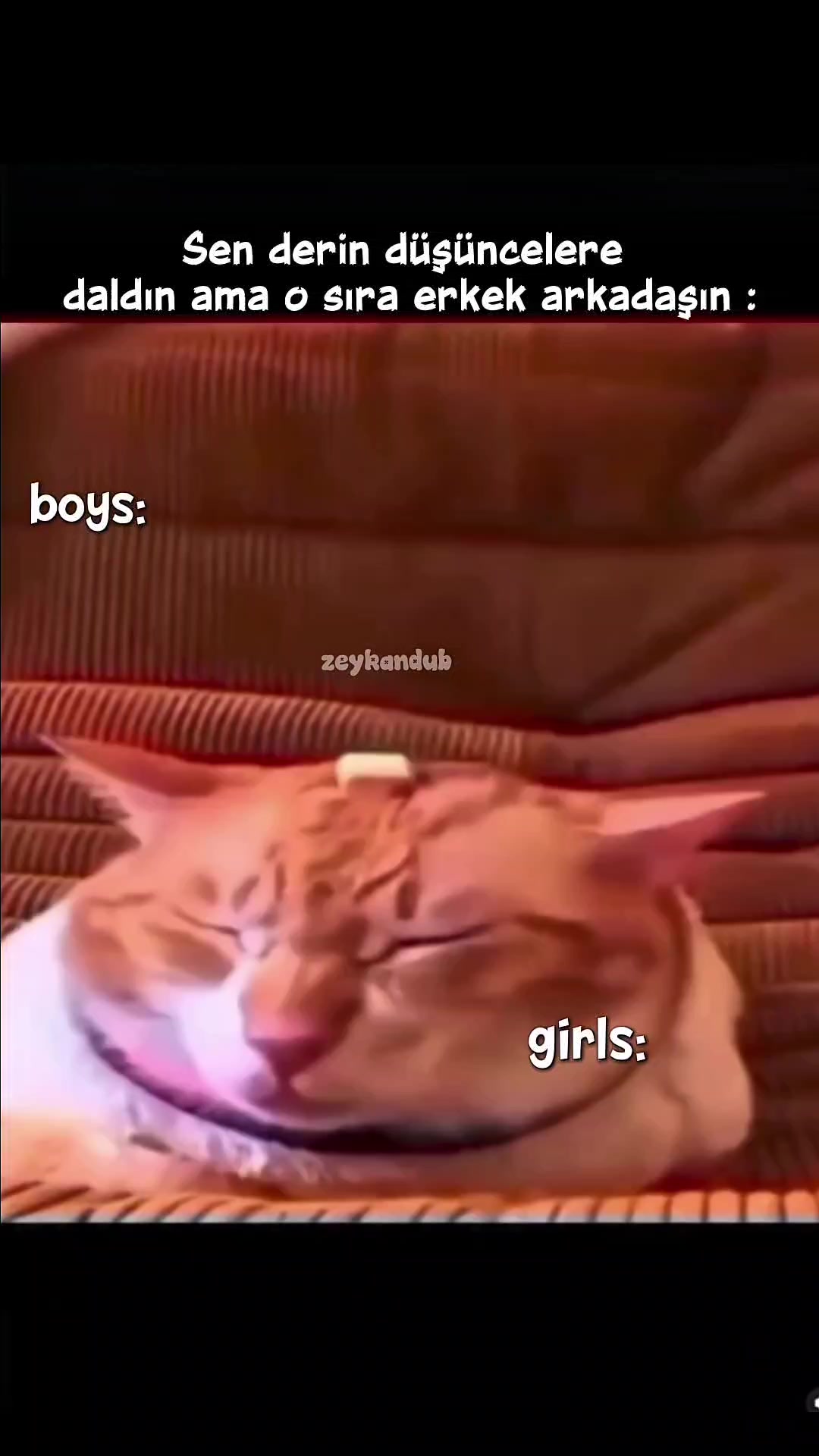 @zeykandub