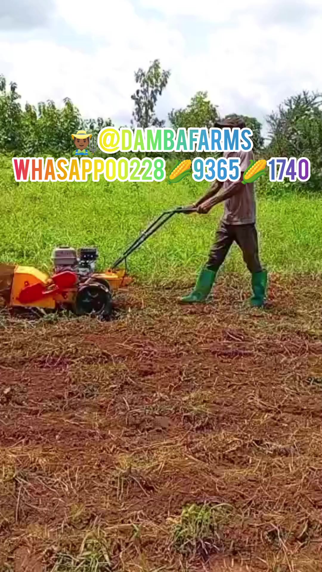 @dambafarms