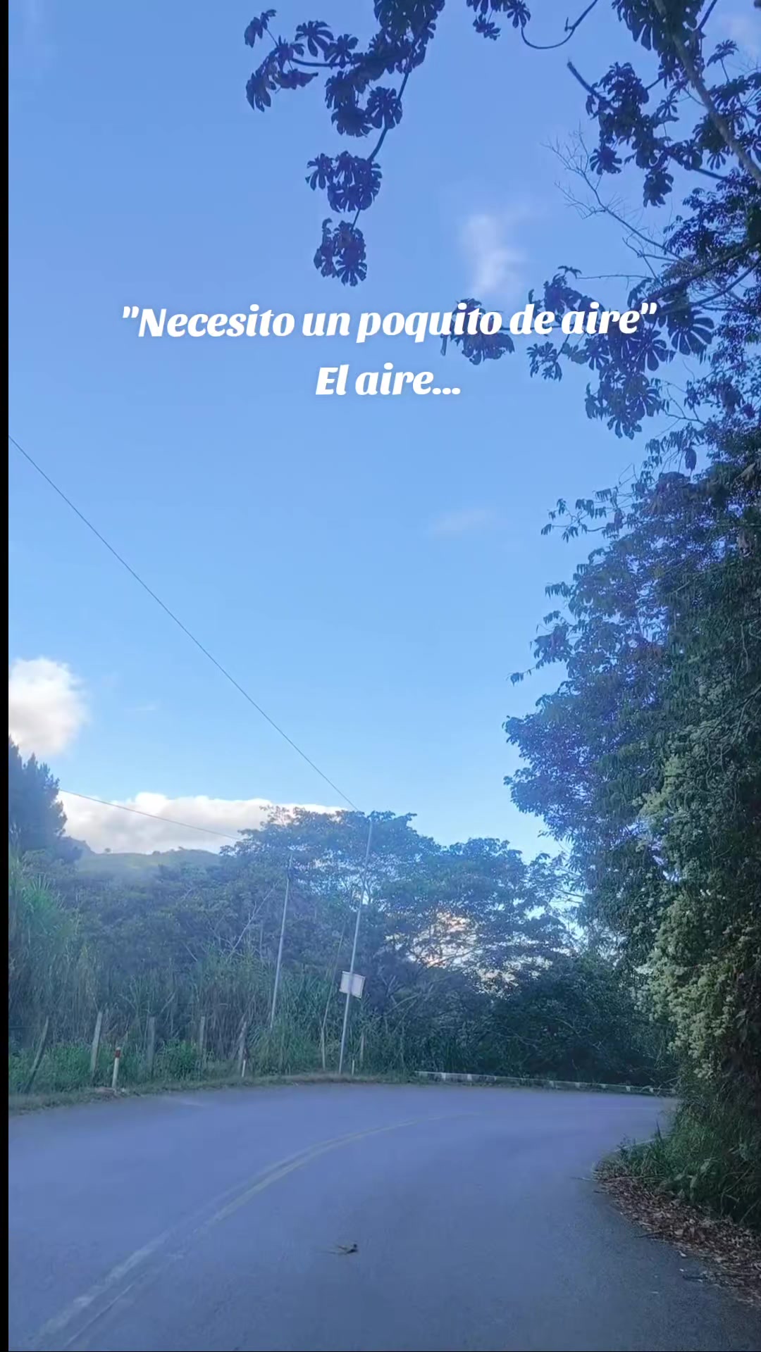 @Estefania Buendía Du