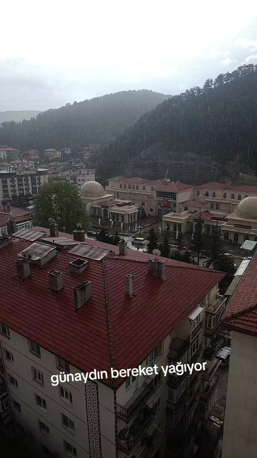 @zalimin kızı 06