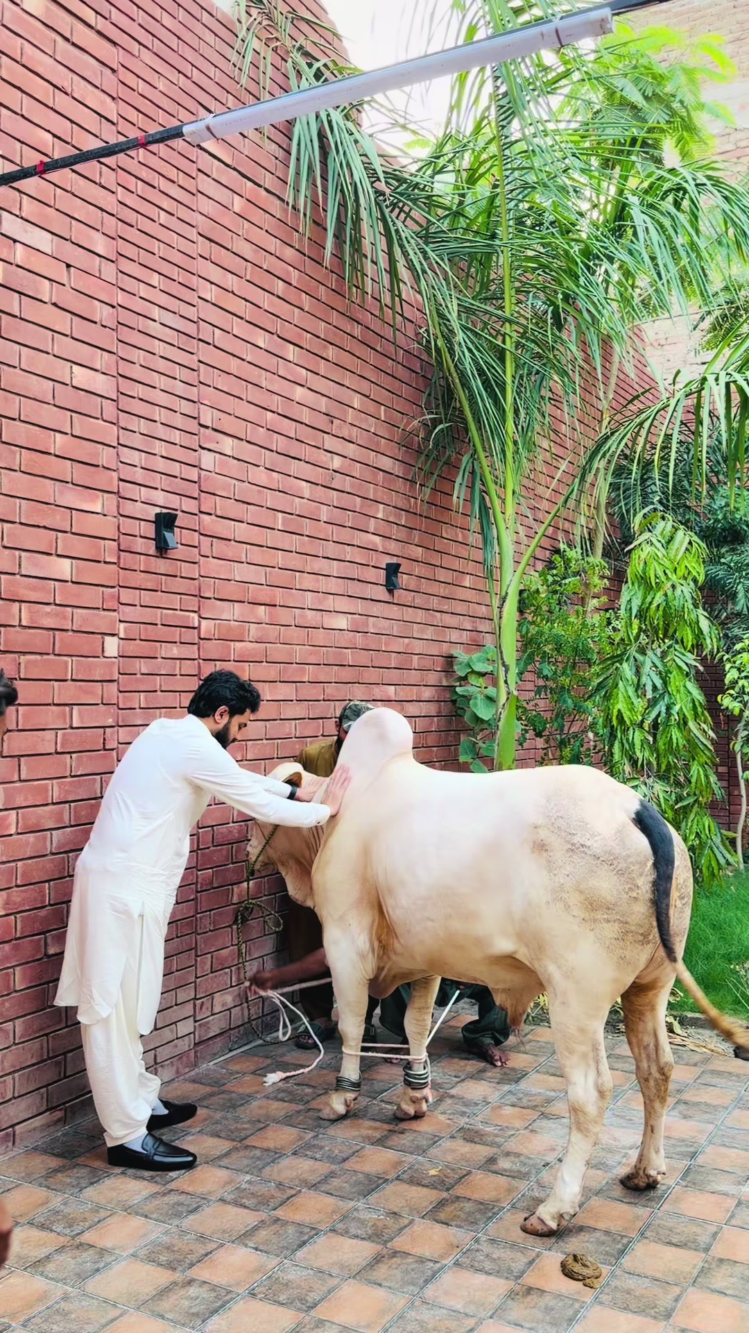 @Iqbal muneer