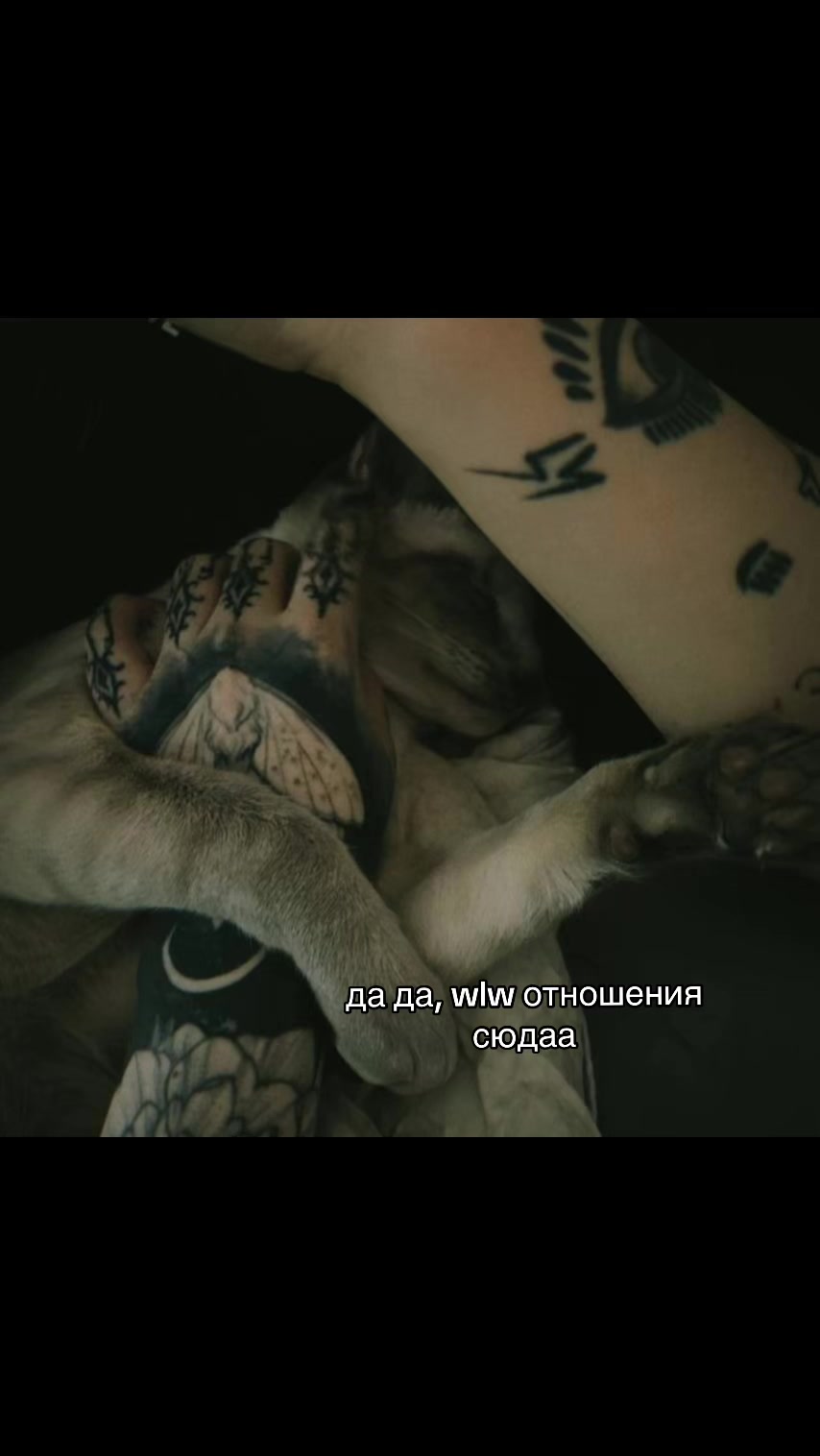 @мишка