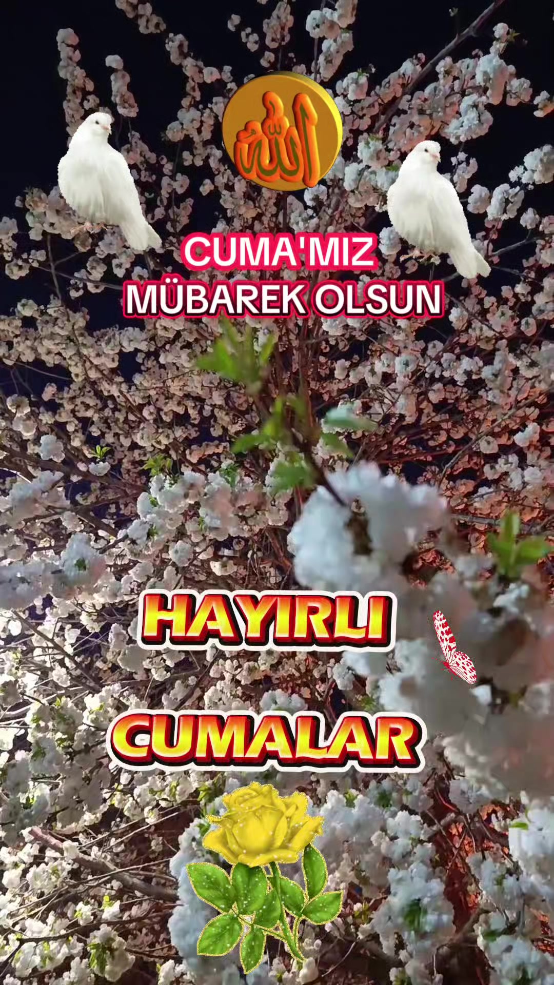 @@hayatsevinceguzel5537
