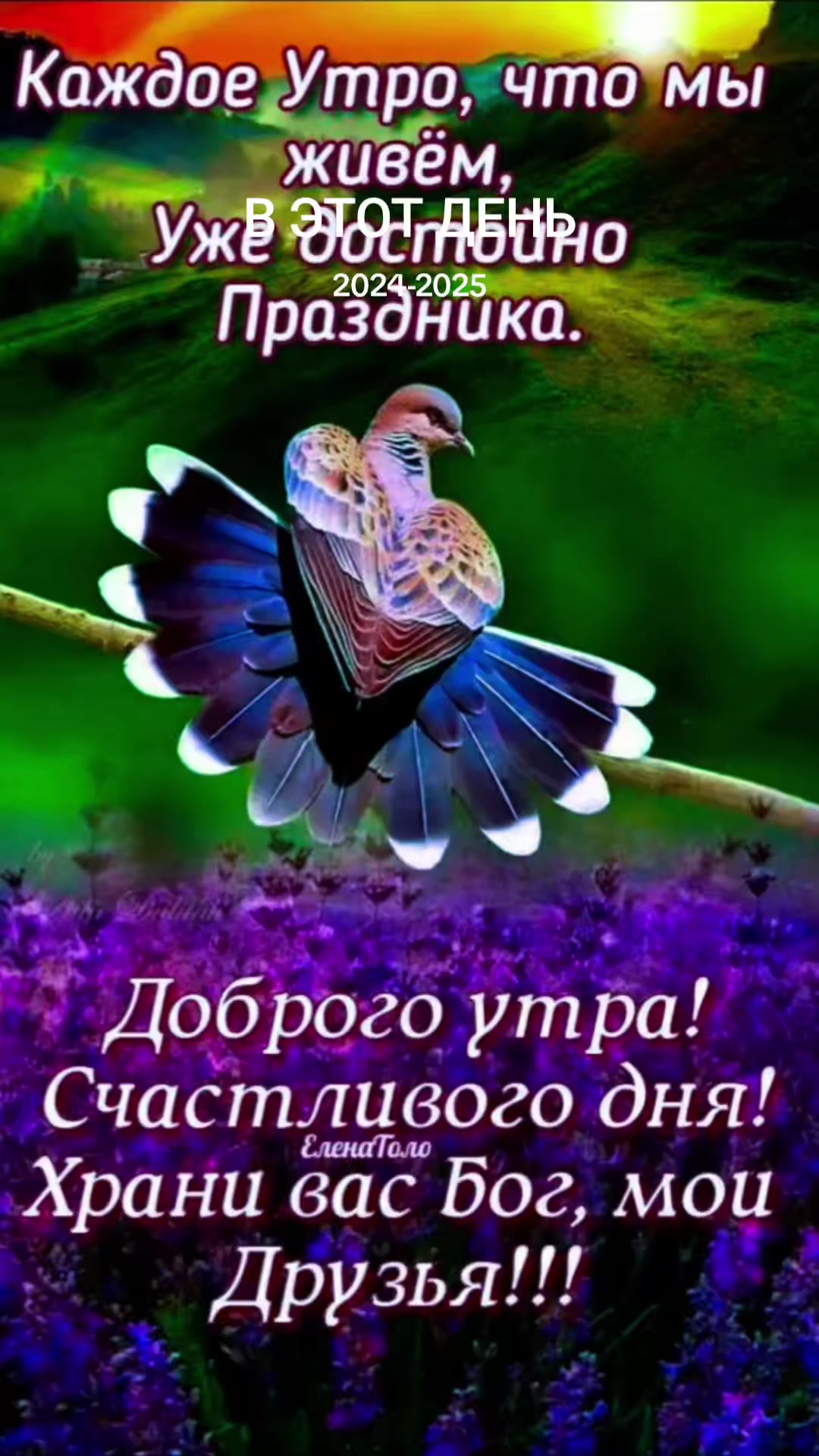 @Роза