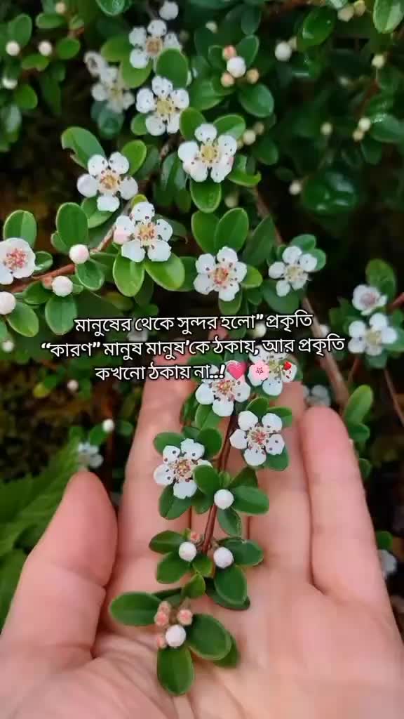 @Taslima jannat