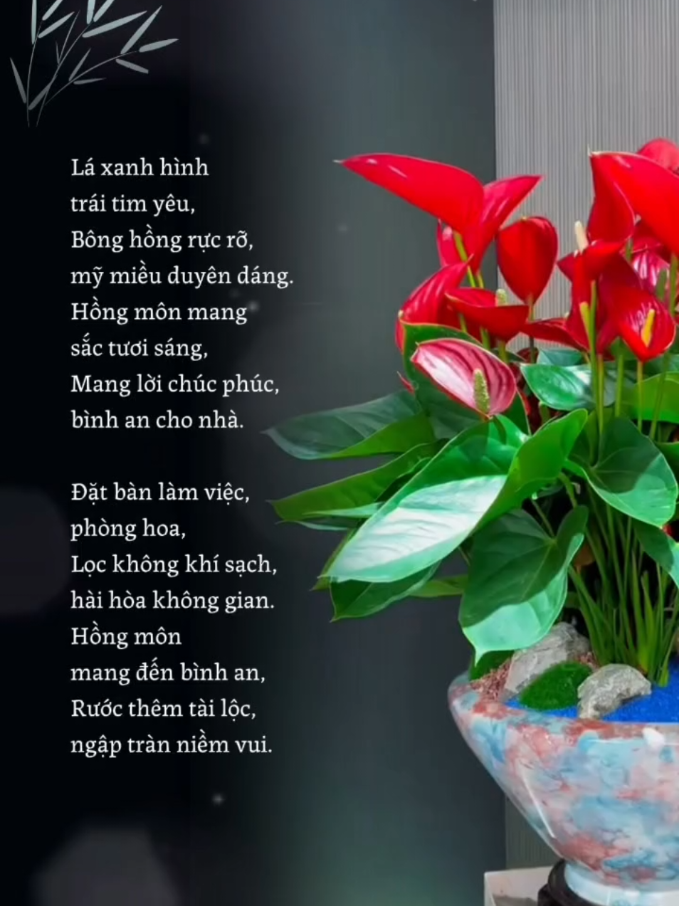 @Hưng Hưng Official 🔥
