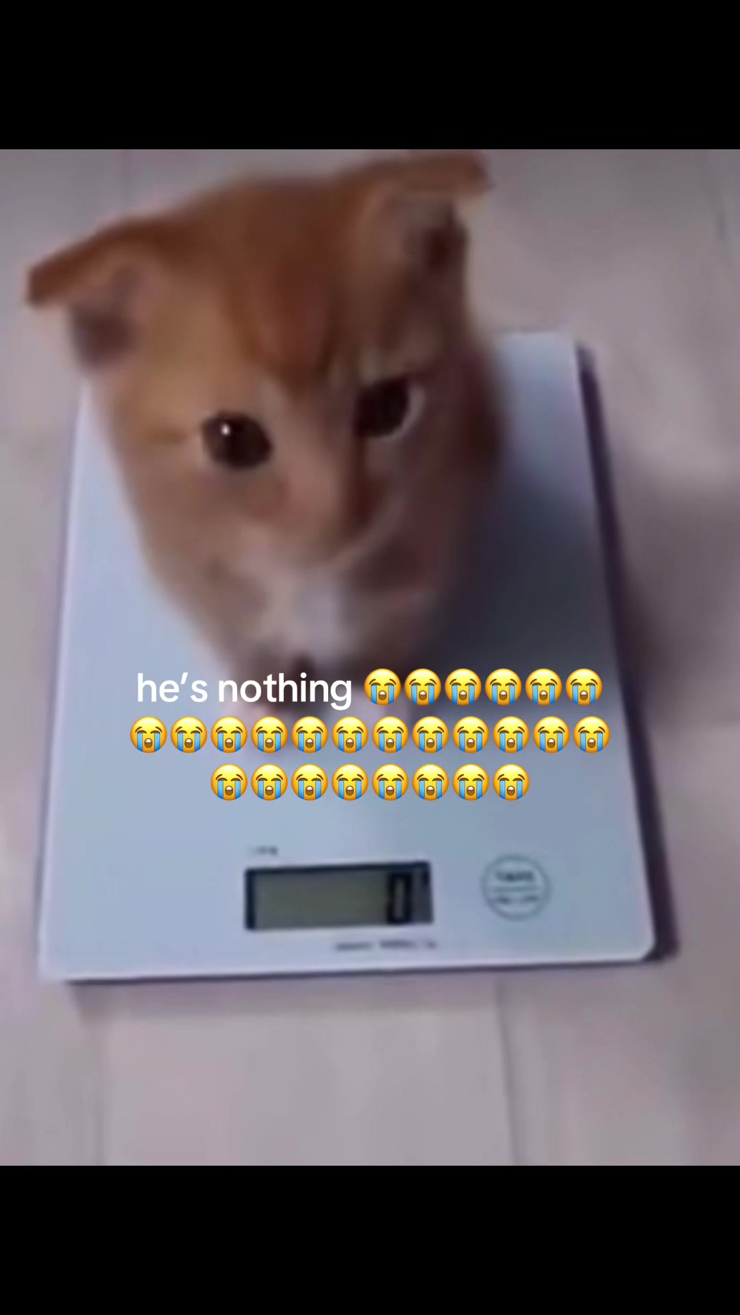 @plluto7