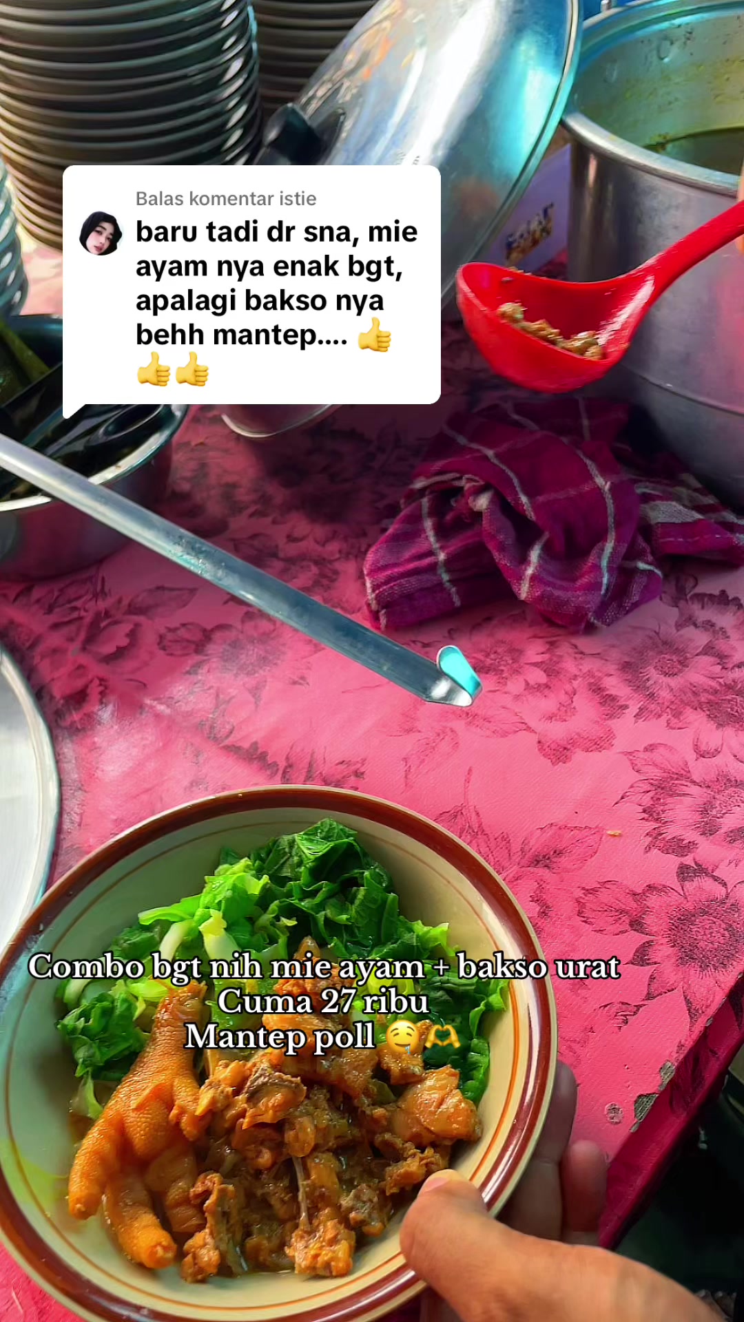 @mie_dampar