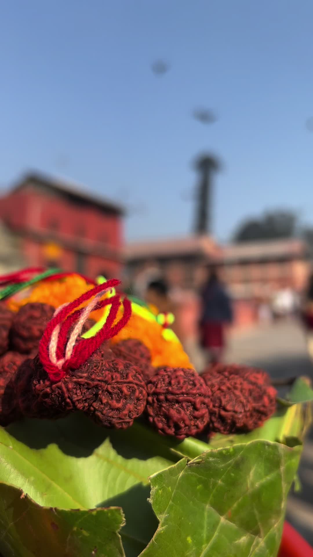 @आपाको छोरी म👸💎📿🧘♀️🤞