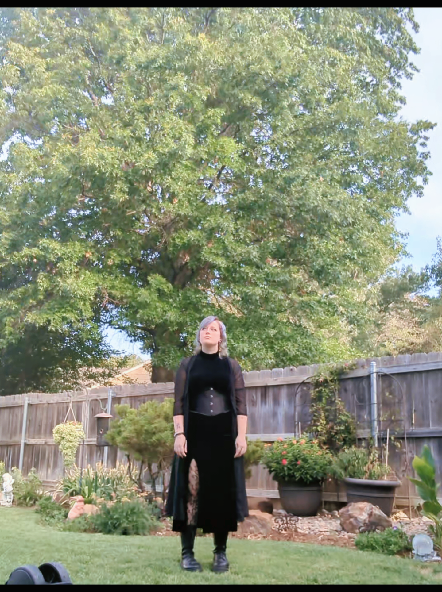 @𖦹⭒°。⋆🖤₳ꕷႬ𝙇𝓨ກກ𝖊🦇˖𖦹⭒°。⋆