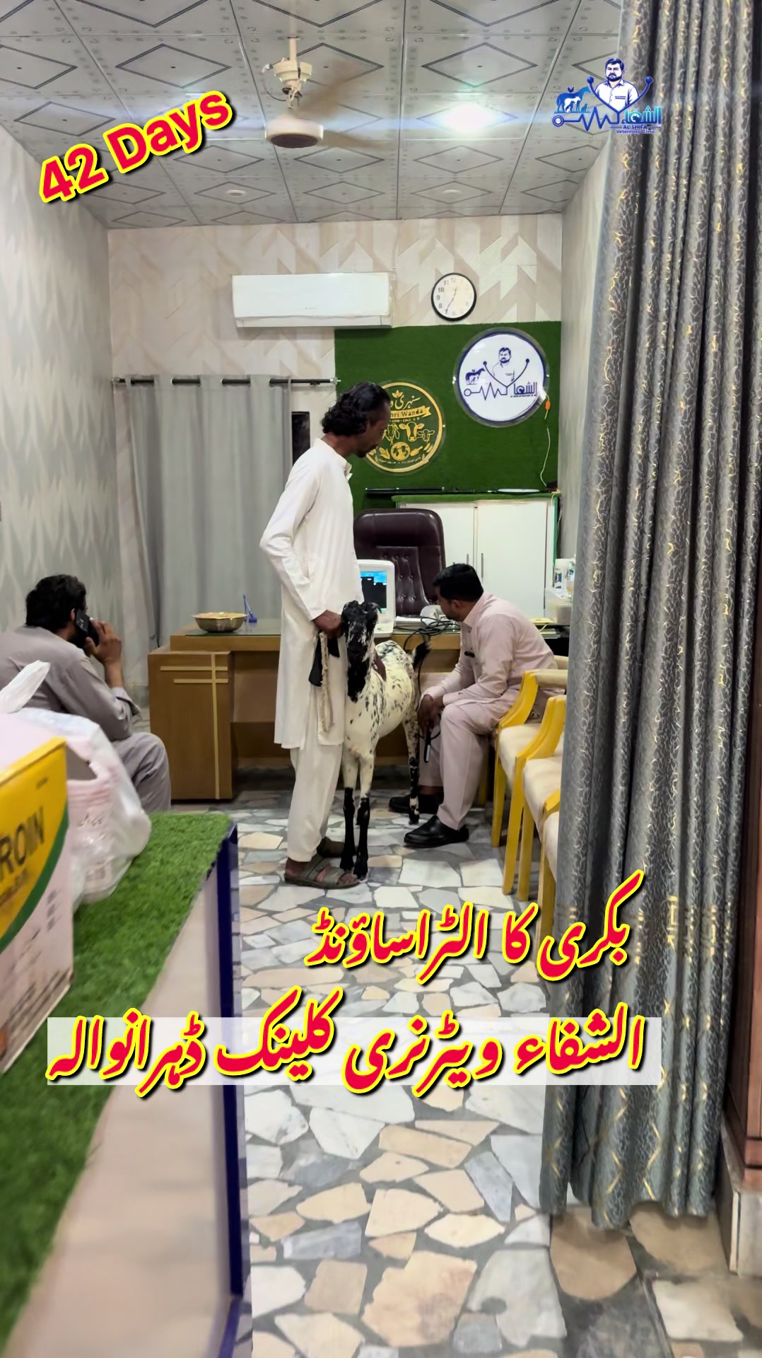 @Dr.Mohsin