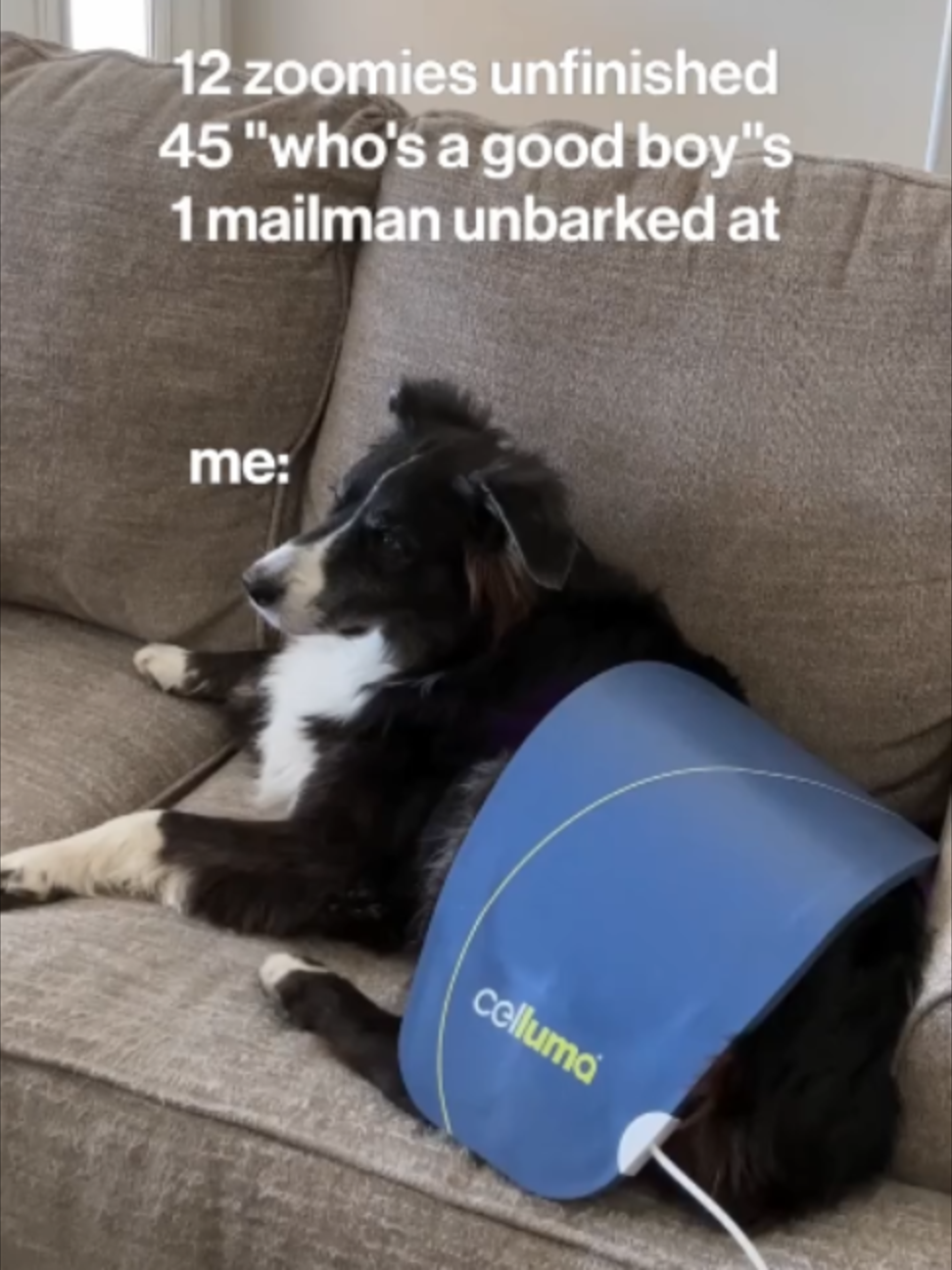 @Celluma Light Therapy