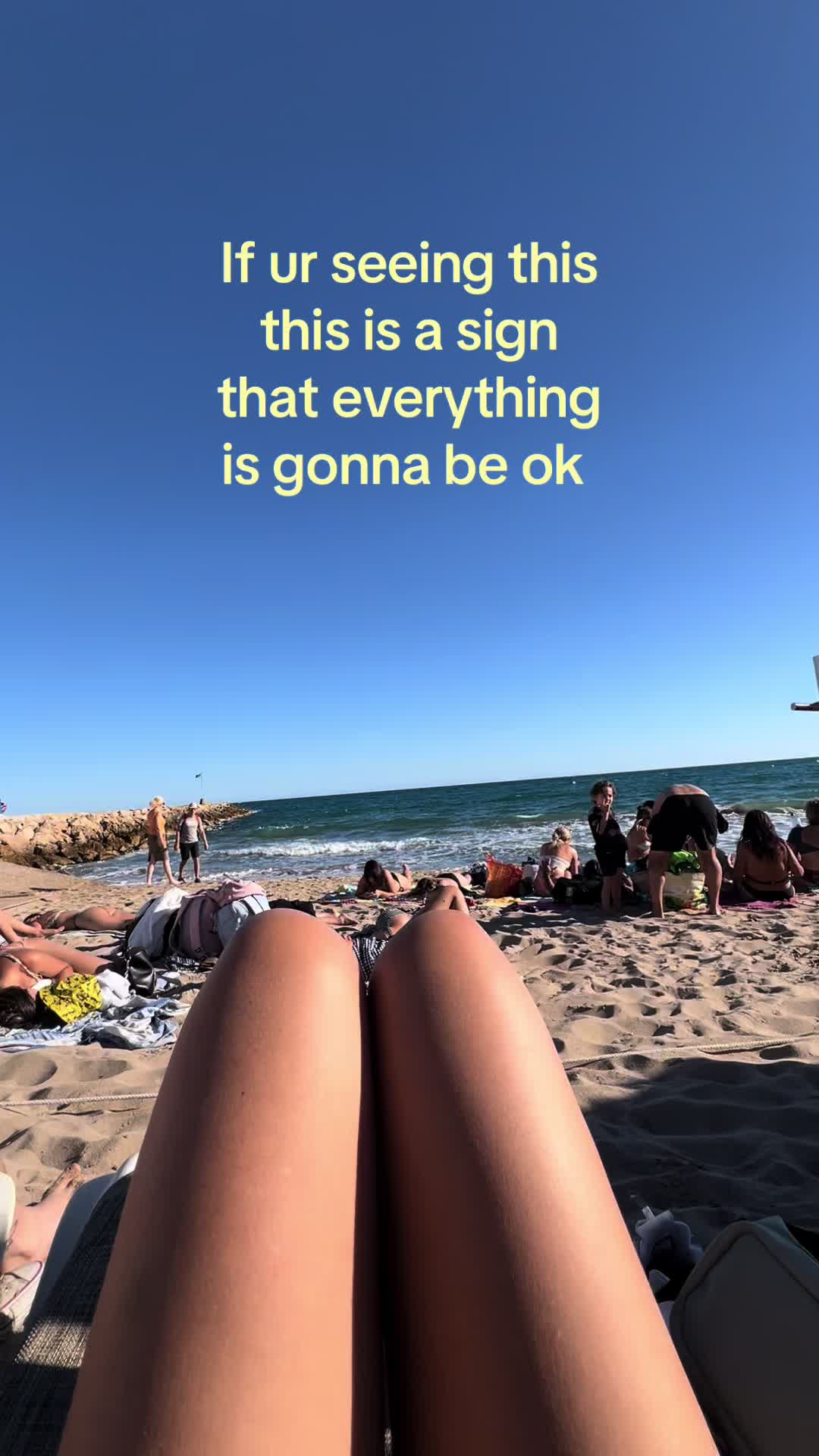 @mini bear