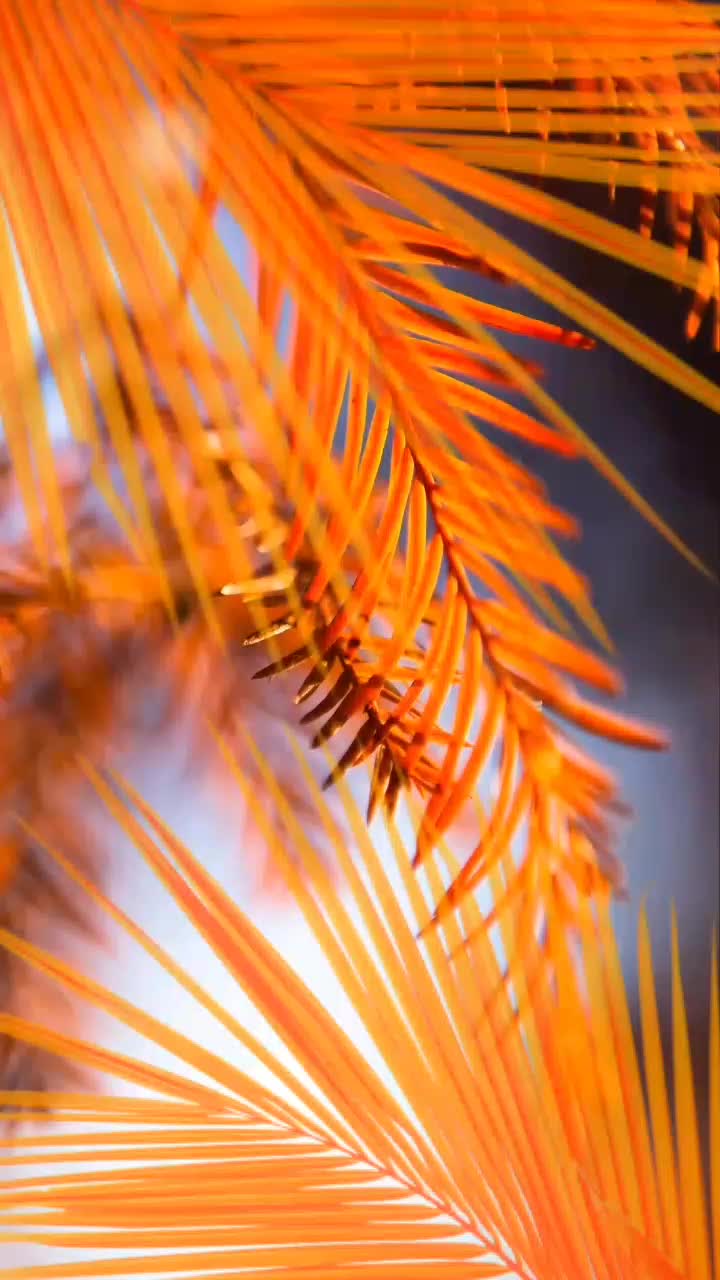 @tonyasmith3611
