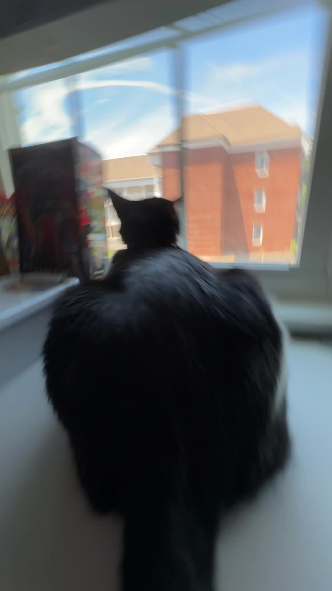 @Kat