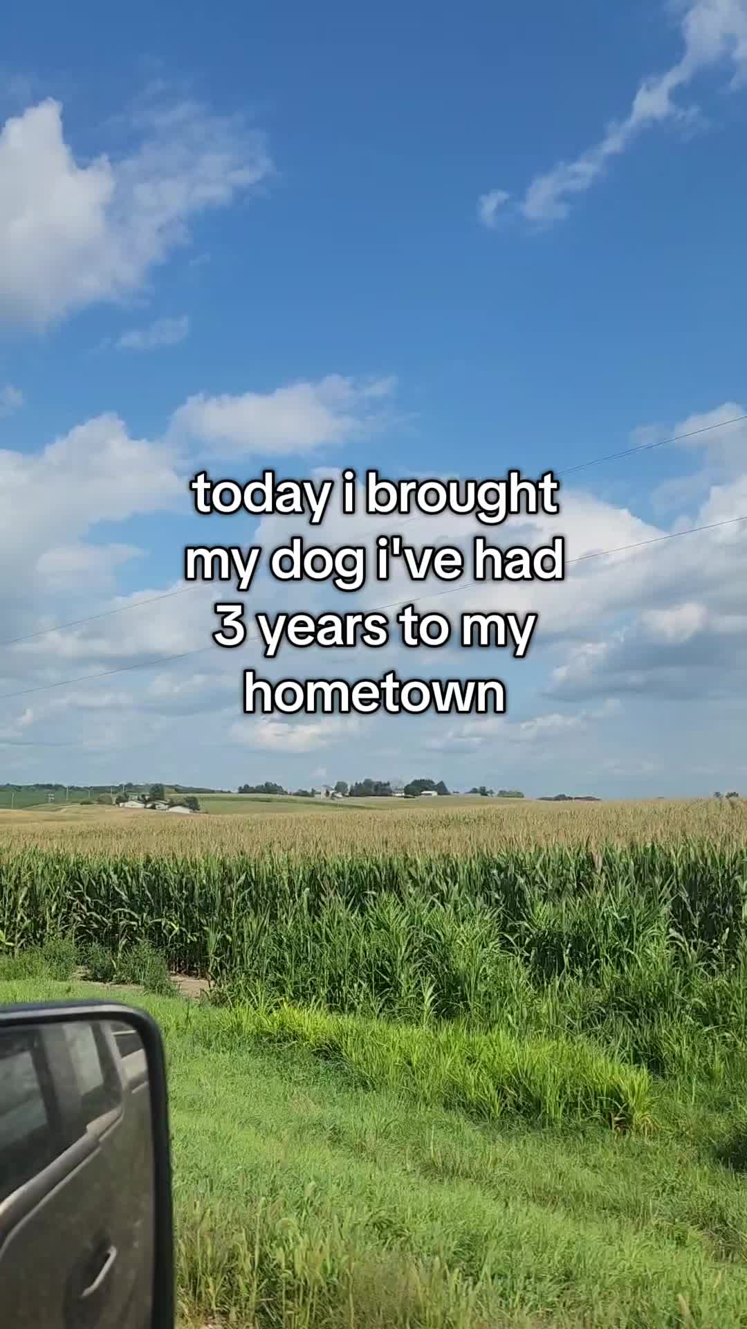 @abugstory