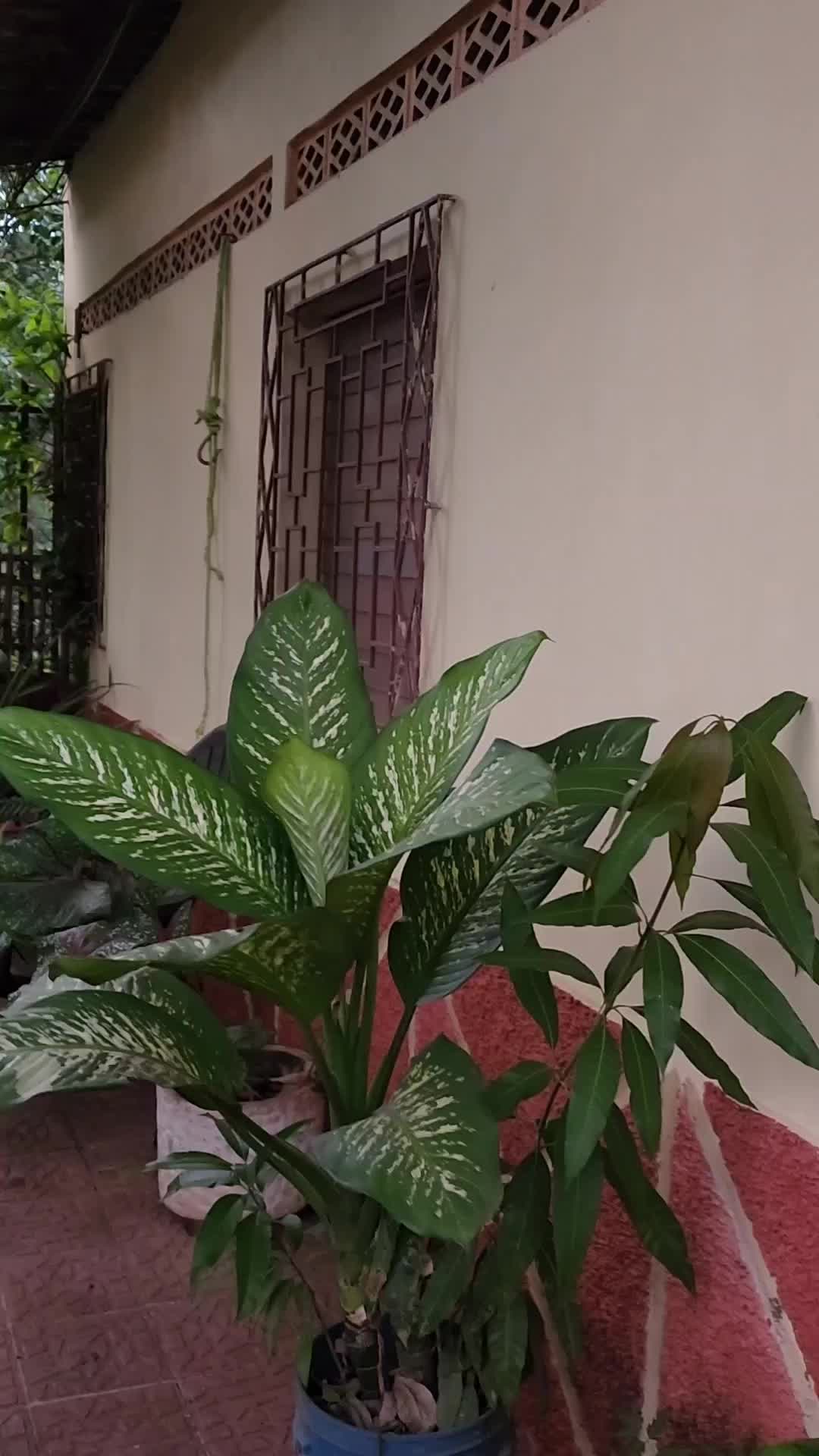 @Patricia Segovia &hearts;️🇸🇻❤️