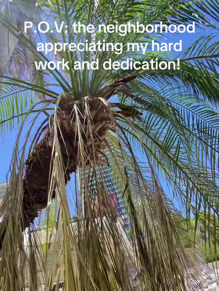 @Vinnie (wrecking and creating)
