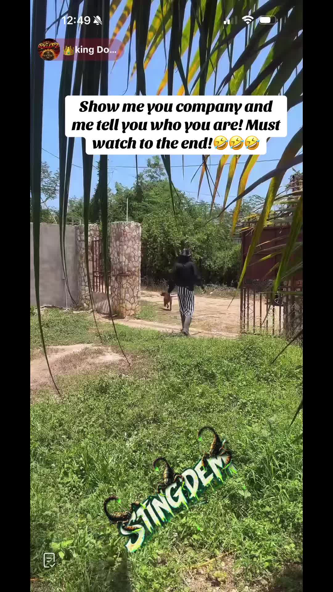 @🦂Sting_dem🦂🇯🇲🇺🇸💸