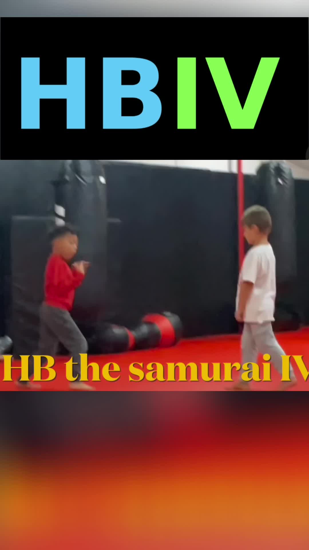 @HBIVthesamurai