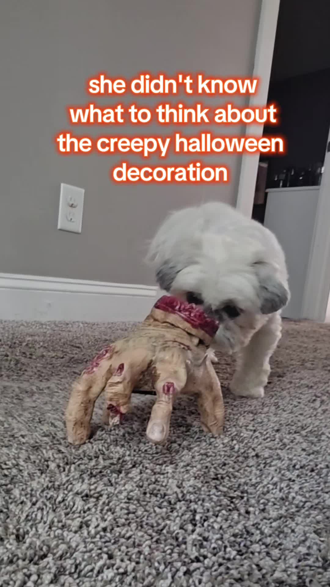 @Kara