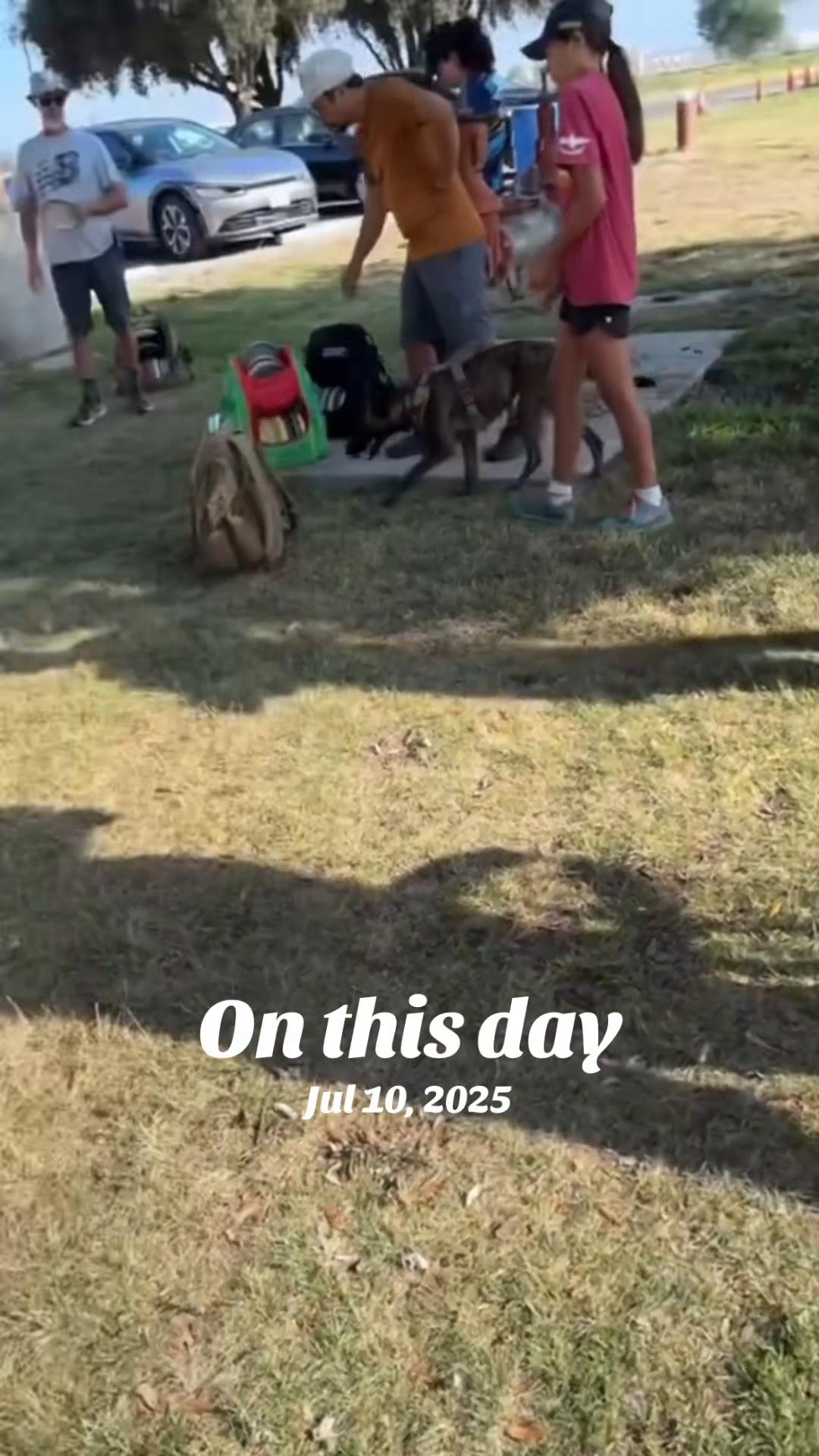 @Dischead