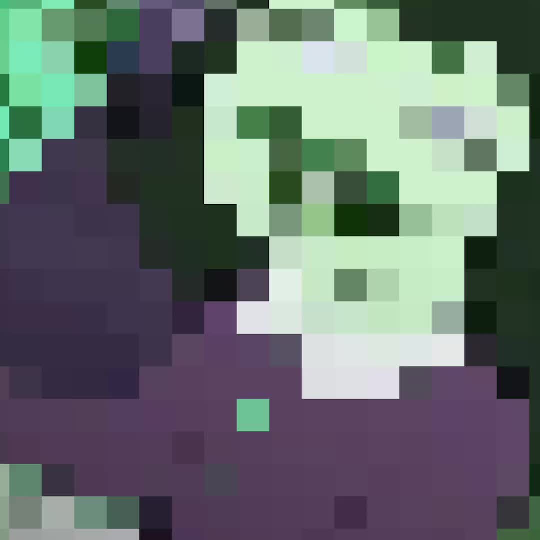 @|°•.🇿🇪🇱🇴.•°|
