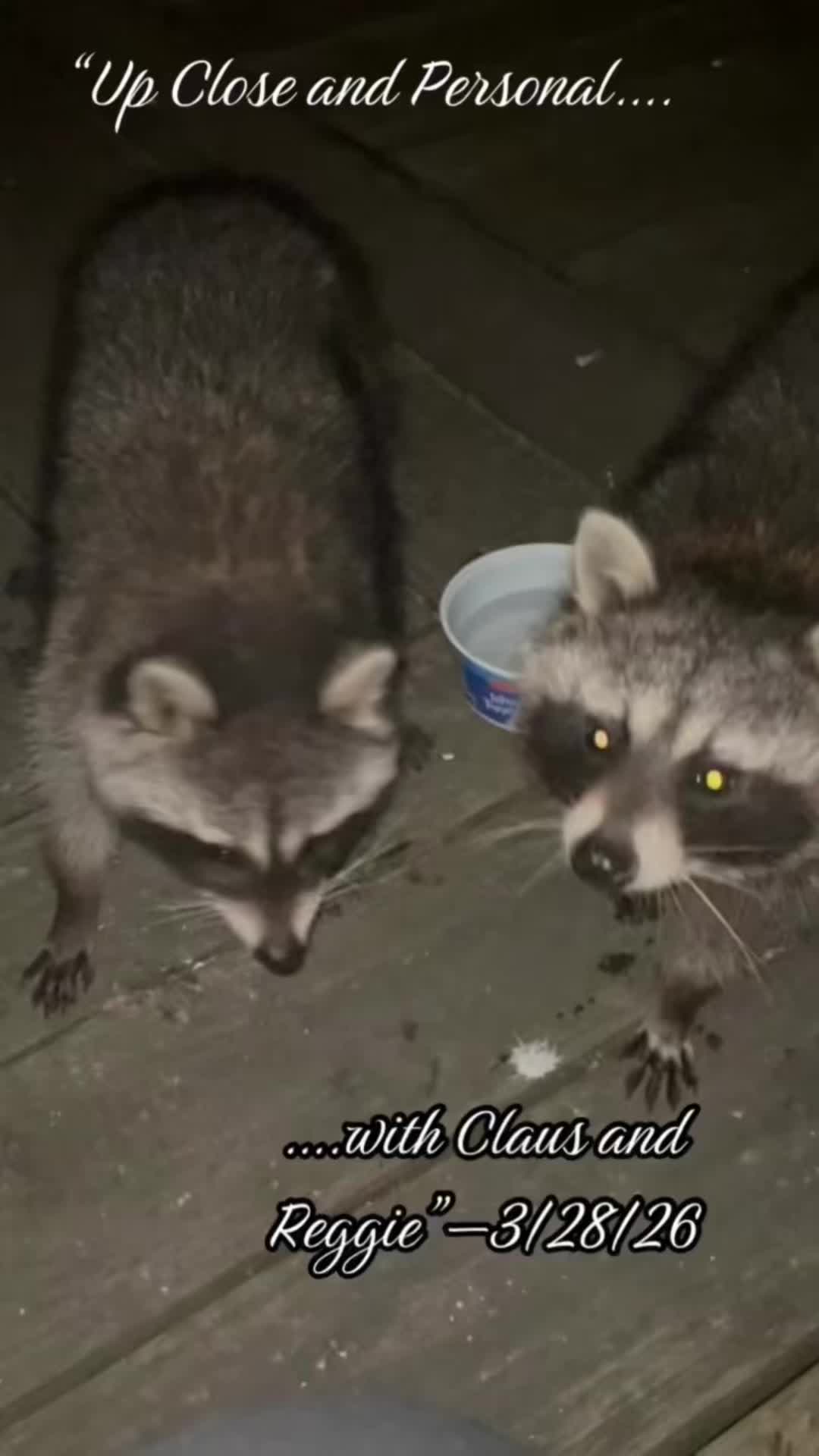 @LoneWolfKritterKam